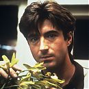 twin_peaks_14a.jpg
