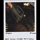 Twin_Peaks_Polaroids_-_Without_Chemicals_-_0041.jpg